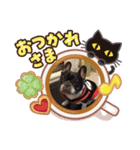 あゆむくん5（個別スタンプ：6）