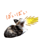 ツキヤヤ3（個別スタンプ：2）