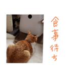 ツキヤヤ3（個別スタンプ：5）