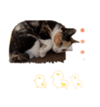 ツキヤヤ3（個別スタンプ：6）