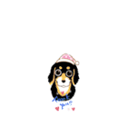 MADDER's すたんぷ（個別スタンプ：1）
