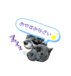 MADDER's すたんぷ（個別スタンプ：2）