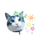 MADDER's すたんぷ（個別スタンプ：3）