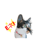 MADDER's すたんぷ（個別スタンプ：4）