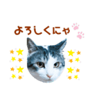 MADDER's すたんぷ（個別スタンプ：5）