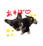 希海とくう（個別スタンプ：13）