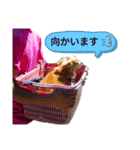 ウチの おいさん（個別スタンプ：6）
