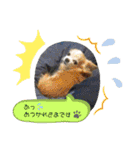 ウチの おいさん（個別スタンプ：7）