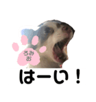 家族だいすきろみおくん（個別スタンプ：4）
