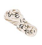 素晴らしいスタンプ16選（個別スタンプ：1）
