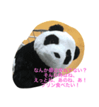 素晴らしいスタンプ16選（個別スタンプ：12）