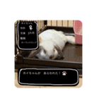 うさぎのホイちゃん（個別スタンプ：4）