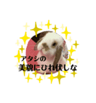 うさぎのホイちゃん（個別スタンプ：5）