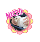 うさぎのホイちゃん（個別スタンプ：6）