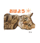 くぅちゃん＆メリー（個別スタンプ：2）