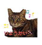 くぅちゃん＆メリー（個別スタンプ：4）