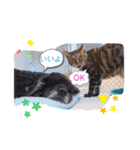 くぅちゃん＆メリー（個別スタンプ：5）