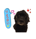 くぅちゃん＆メリー（個別スタンプ：21）