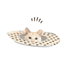 アズキとダイズ(マメズ)の豆なスタンプ（個別スタンプ：2）