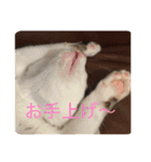 アズキとダイズ(マメズ)の豆なスタンプ（個別スタンプ：9）