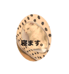 アズキとダイズ(マメズ)の豆なスタンプ（個別スタンプ：10）