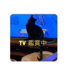 アズキとダイズ(マメズ)の豆なスタンプ（個別スタンプ：15）