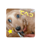 きなこといっしょ！（個別スタンプ：2）