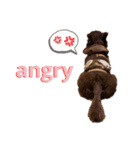 I'm Mukku（個別スタンプ：14）
