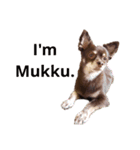 I'm Mukku（個別スタンプ：16）