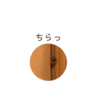 ダックスわんこの日常生活（個別スタンプ：3）