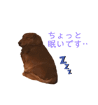 ダックスわんこの日常生活（個別スタンプ：14）