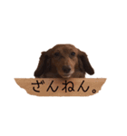 ダックスわんこの日常生活（個別スタンプ：21）