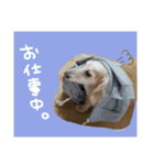 Johnkunn（個別スタンプ：5）