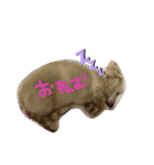Johnkunn（個別スタンプ：7）