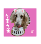 Johnkunn（個別スタンプ：8）