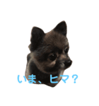くぅーとゆきのスタンプ②（個別スタンプ：3）