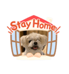 TOM＆HANA（個別スタンプ：3）