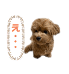 麦！！！！！！！②（個別スタンプ：1）