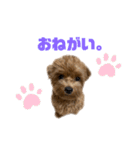 麦！！！！！！！②（個別スタンプ：3）