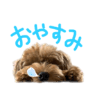 麦！！！！！！！②（個別スタンプ：6）