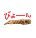 麦！！！！！！！②（個別スタンプ：7）