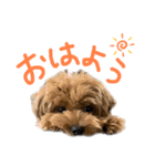 麦！！！！！！！②（個別スタンプ：8）