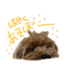 麦！！！！！！！②（個別スタンプ：10）