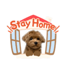 麦！！！！！！！②（個別スタンプ：11）