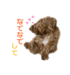 麦！！！！！！！②（個別スタンプ：12）
