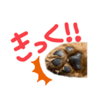 麦！！！！！！！②（個別スタンプ：13）