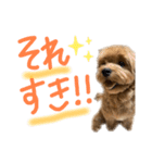 麦！！！！！！！②（個別スタンプ：14）