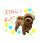 麦！！！！！！！②（個別スタンプ：15）