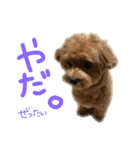 麦！！！！！！！②（個別スタンプ：21）