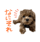 麦！！！！！！！②（個別スタンプ：23）